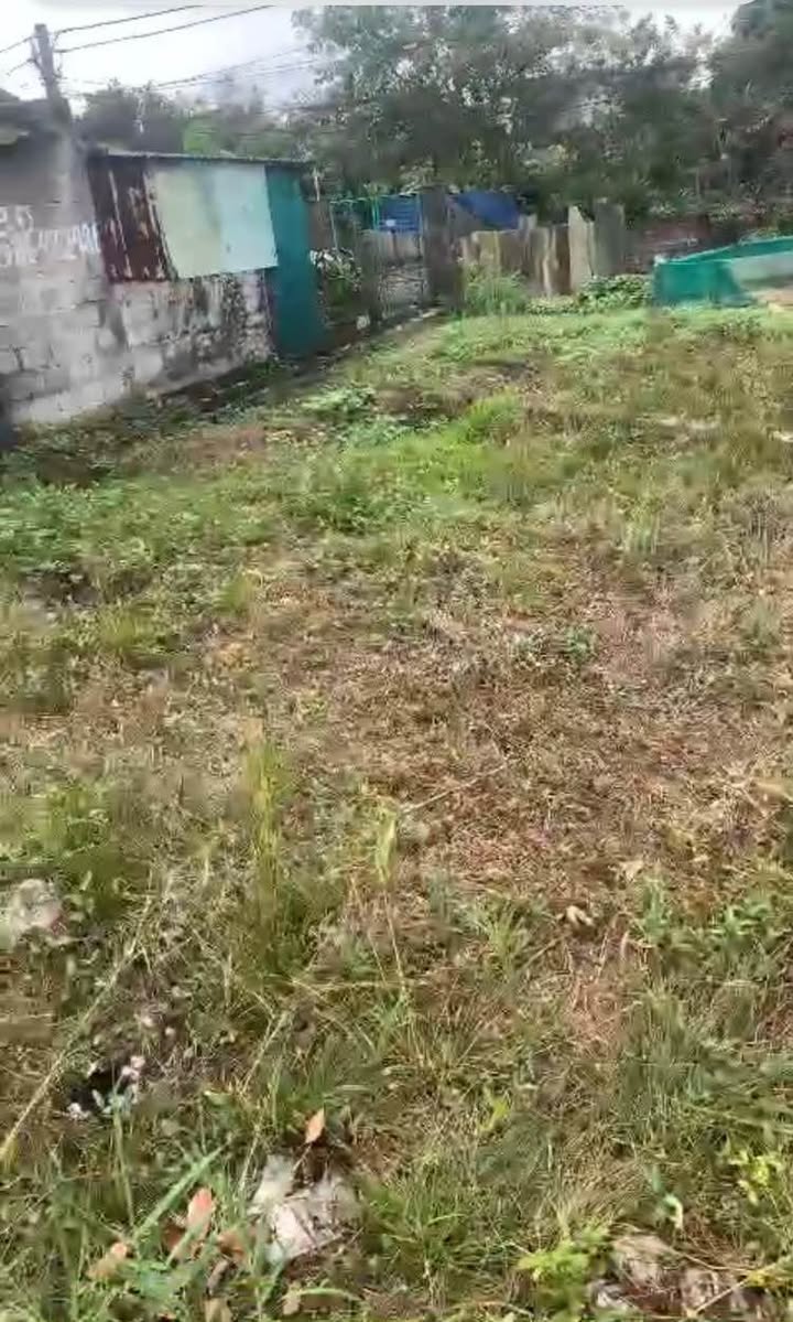 Đất Nền Làng Ốc Nam Định - 45m² - Giá Đầu Tư Cắt Lỗ