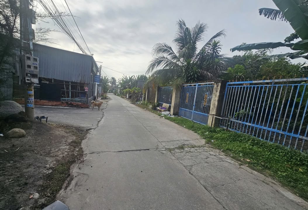 Đất nền TP. Tây Ninh 185m² giá 10.36 tỷ - Vị trí vàng trung tâm!