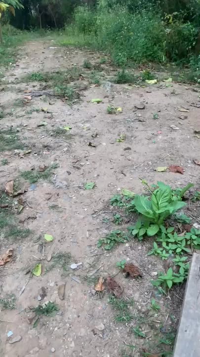 Đất nền Long Xuyên 100m² 1.6 tỷ - Sổ đỏ chính chủ!