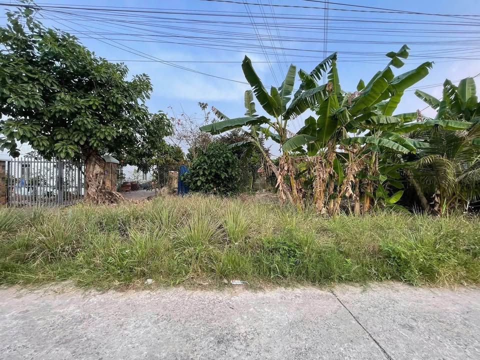 Nhà Mặt Tiền Dương Minh Châu, Rạch Giá - 990m² Thổ Cư, Giá 2.5 Tỷ