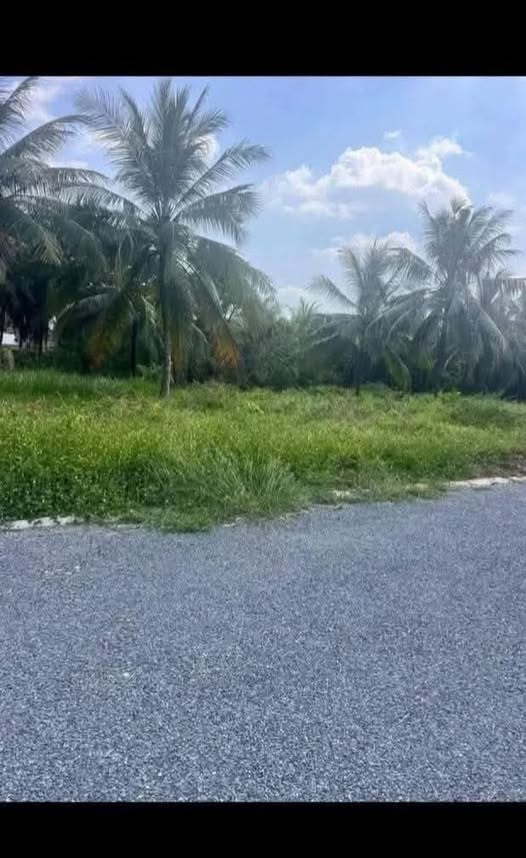 Đất nền Châu Hưng Vĩnh Long 140m² - Sổ đỏ sẵn, xây dựng tự do!