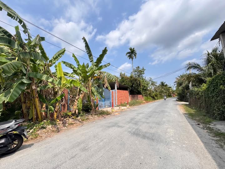 Đất nền Phú Túc Bến Tre 6126m² - Tiềm năng tăng giá vượt trội