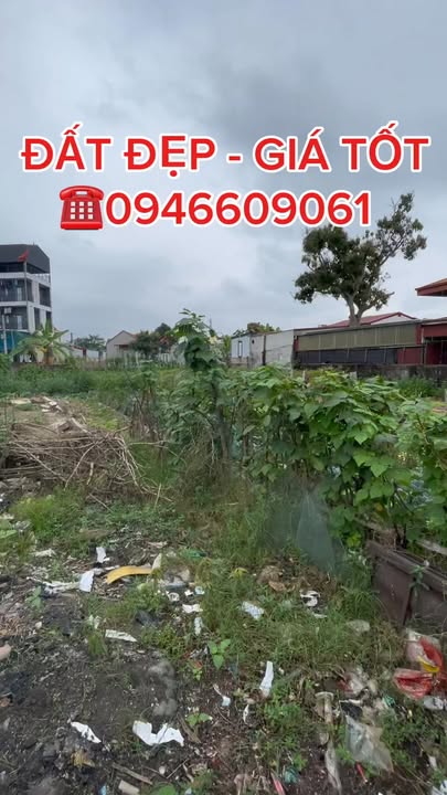 Đất nền Hồng Phong, An Dương 70m² - Tiềm năng tăng giá vượt trội!