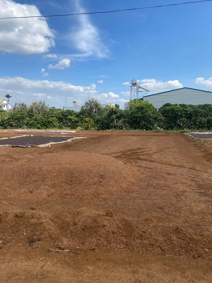 Bán Đất Di Linh 164m² Giá 850 Triệu - Sổ Đỏ Chính Chủ