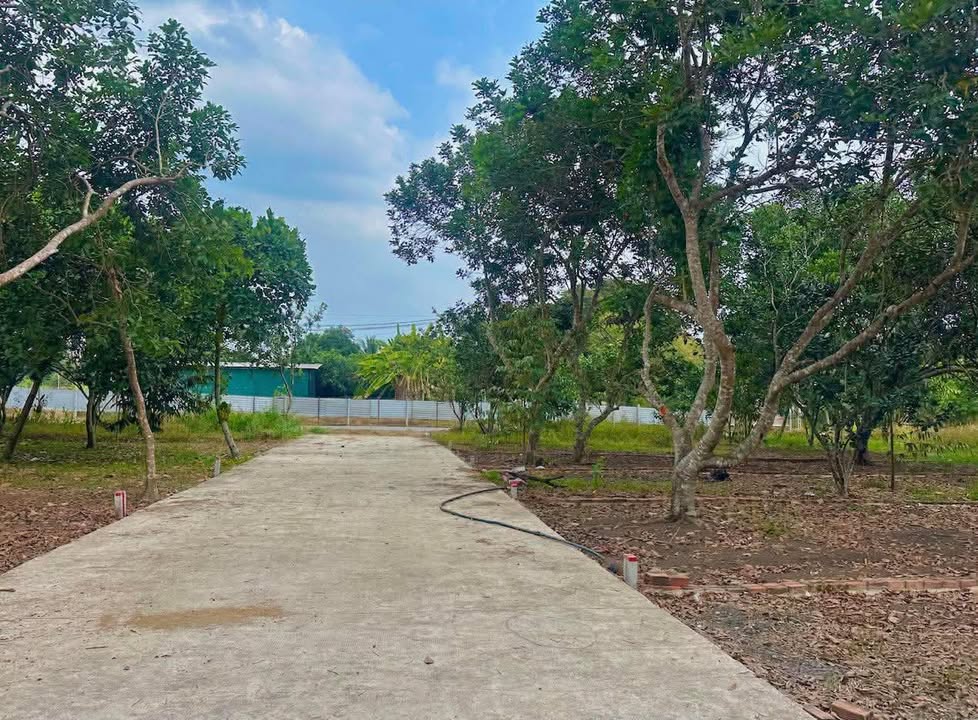 Đất nền Bình Thạnh 210m² Sổ đỏ - Giá 300 Triệu