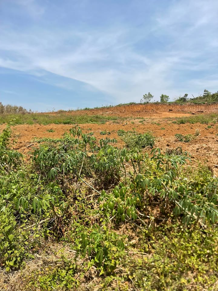 Đất nền Thạch Sơn, Cư M'gar 11000m² - Giá đầu tư tốt!