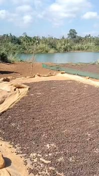 Đất nền Đắk Mil 800m² - Sổ đỏ chính chủ, giá cực tốt!