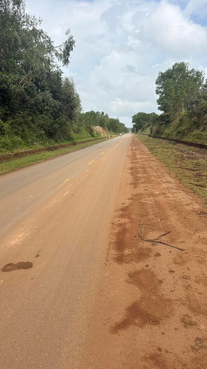 Bán Gấp 3000m² Đất Mặt Tiền Dung Quất Sa Huỳnh, Quảng Ngãi - Giá Tốt