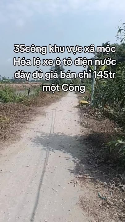 Bán Đất Vườn 35.000m² Xã Tân Thành, Mộc Hóa, Long An - Sổ Hồng Sẵn Sàng