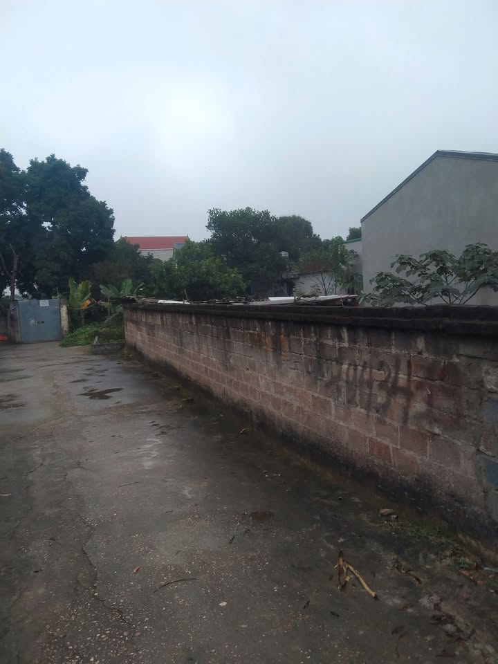 Bán Đất Lô Góc 185m² Xuân Mai, Chương Mỹ - Sổ Đỏ, Gần Đường Z119