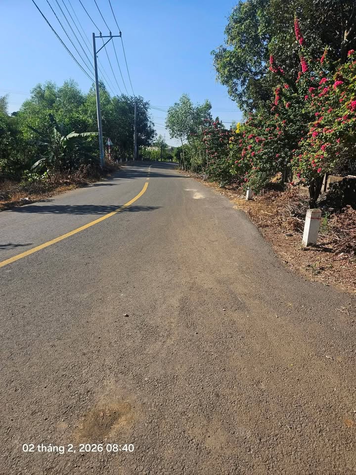 Đất Vườn 4630m² Sông Thao, Trảng Bom - Giá Tốt 1.55 Tỷ