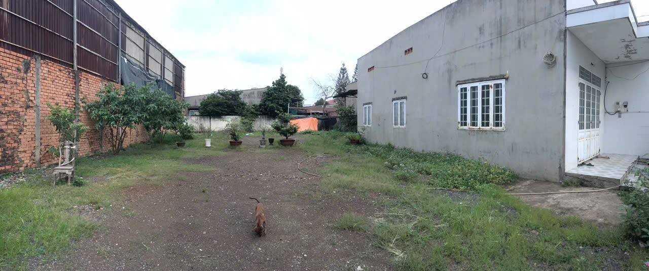 Đất nền Ngũ Phúc, Hố Nai, Biên Hòa 548m² – Sổ đỏ chính chủ!