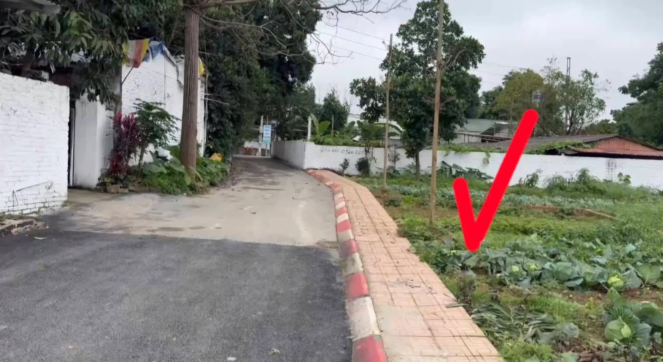 Đất nền Cổ Đông, Sơn Tây 100m² - Sổ đỏ chính chủ, tiềm năng cực lớn!