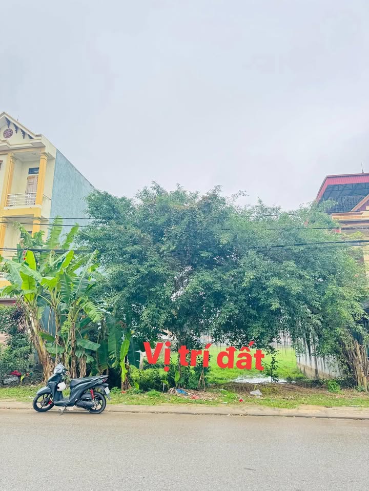 Đất nền Tỉnh lộ 306 Lập Thạch 100m² - Sổ đỏ chính chủ!