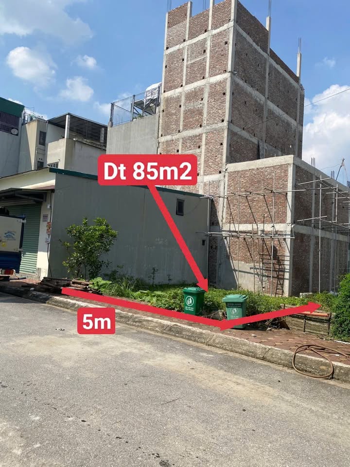 Đất nền Lục Nam 85m² chỉ 1.267 tỷ - Tiềm năng tăng giá vượt trội!