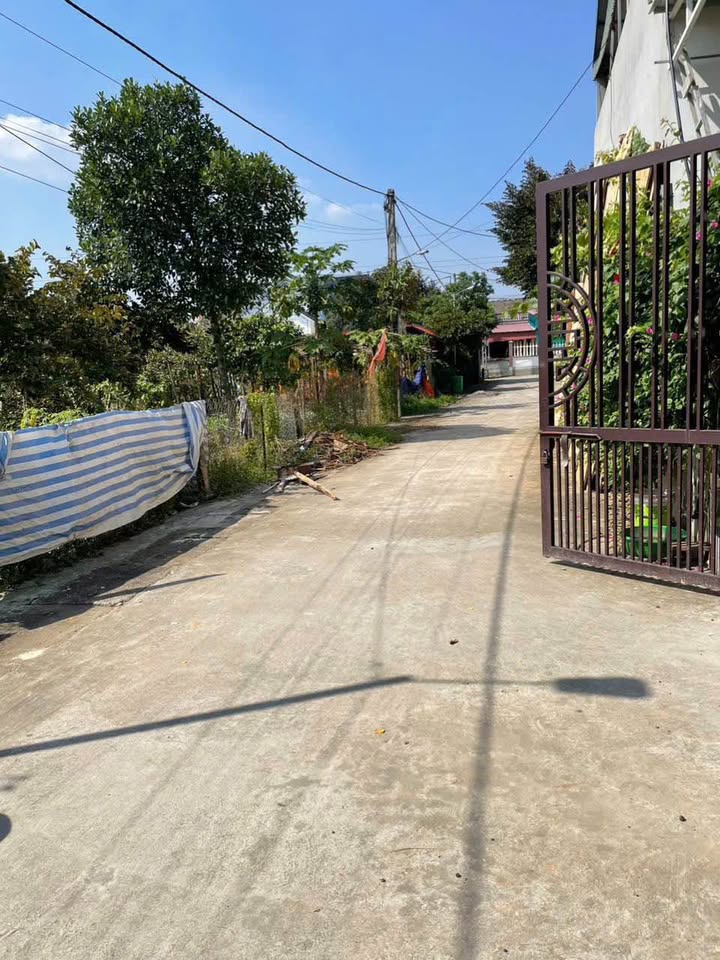 Đất Vàng 175m² Bảo Yên, Thanh Thủy - Sổ Đỏ Full Thổ Cư, Giá Chỉ 1 Tỷ