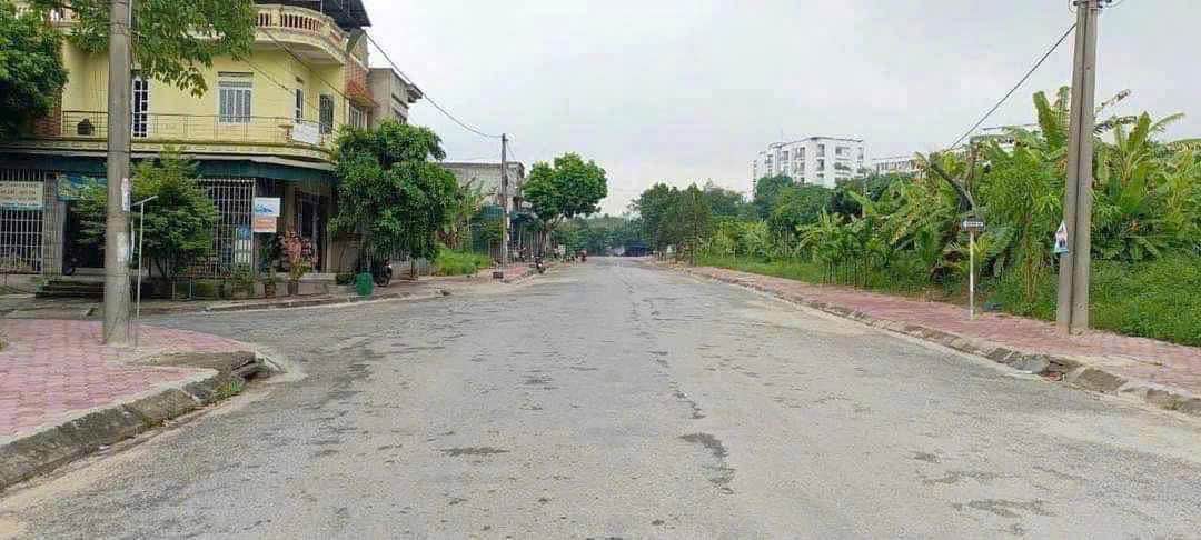 Đất nền Đông Anh 100m² - Sổ đỏ chính chủ, chuyển nhượng nhanh!