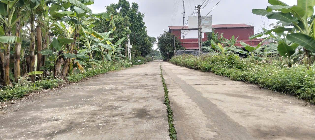 Đất nền Yên Tân, Ý Yên 147m² - Đường to ô tô, Sổ đỏ chính chủ