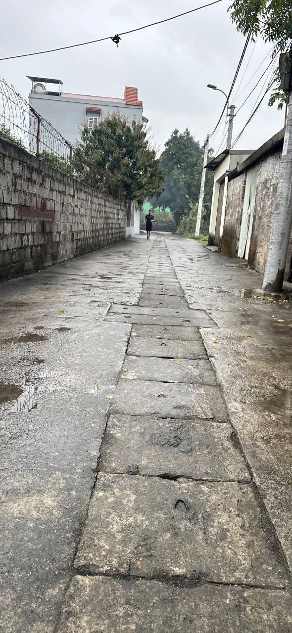 Đất nền Phủ Lý 100m² giá 1.6 tỷ - Ô tô vào tận nơi