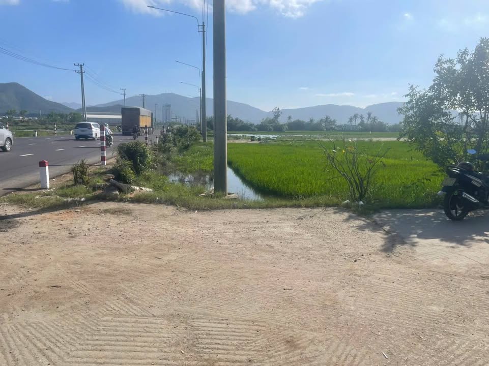 Đất Nền 1500m² Đường Điện Biên Phủ, Quy Nhơn - Giá Tốt