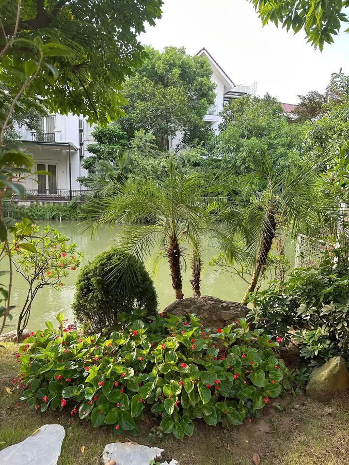 Biệt thự đơn lập Vinhomes Riverside Long Biên 370m² - Vị trí đẹp view sông!