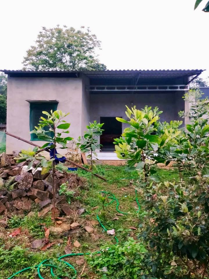 Đất nền Xã Thịnh Minh, TP Hòa Bình 500m² - Sổ đỏ chính chủ