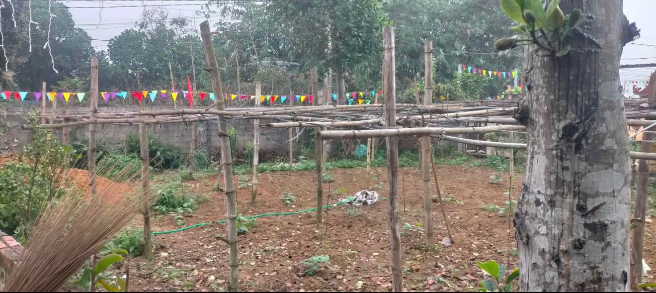 Đất nền Lương Sơn Hòa Bình 250m² - Tiềm năng tăng giá vượt trội!