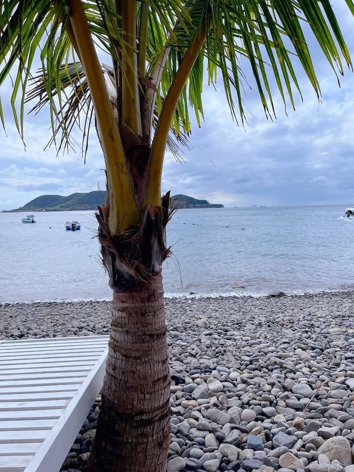 Bán đất Củ Chi 975m² mặt tiền ĐH506, có nhà cấp 4 - Giá 3.5 tỷ