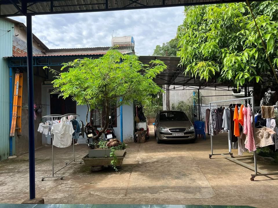 Nhà nguyên căn Pleiku 2PN - Sân vườn, ô tô vào tận nhà!