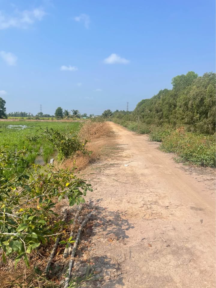 Đất Nền Tân Phước Đồng Tháp 400m² - Hướng Tây Bắc, Giá 349 Triệu