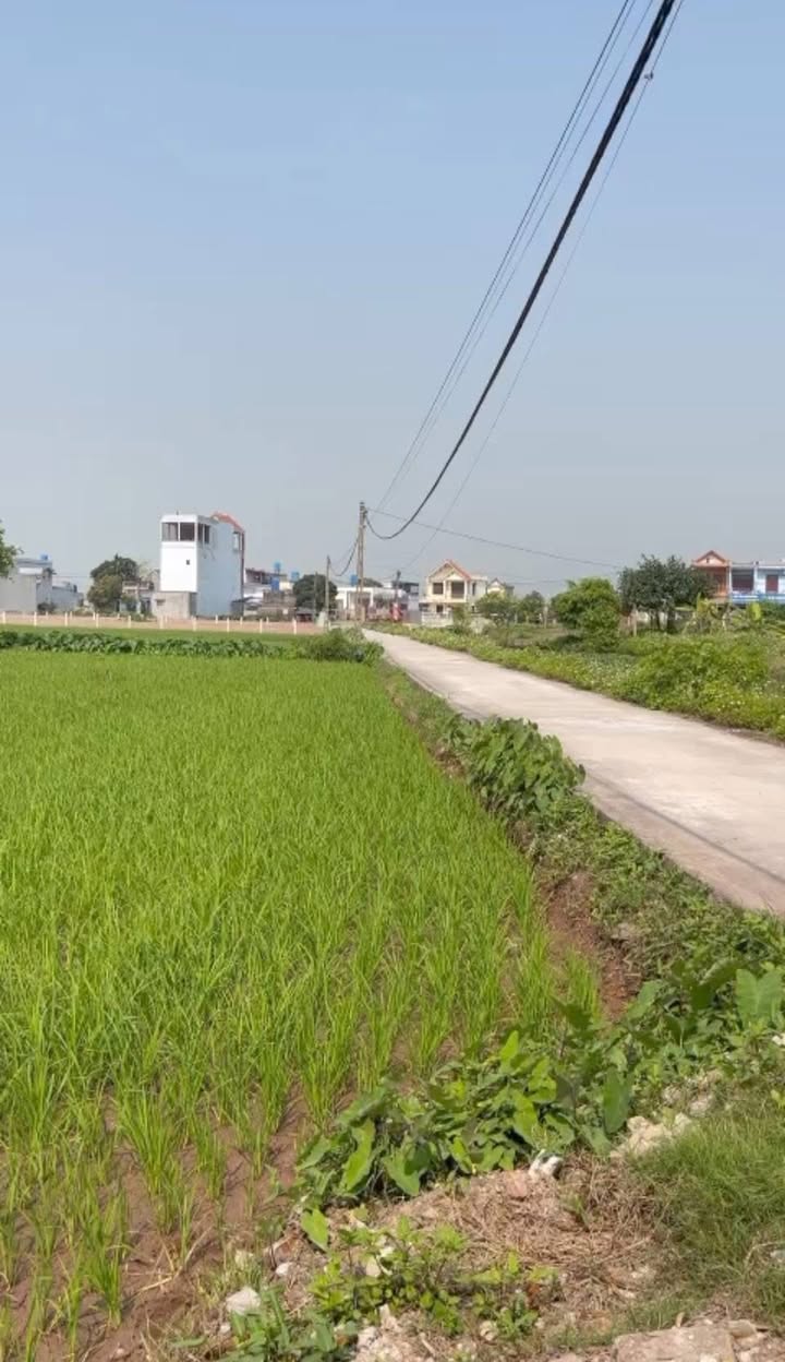 Đất thổ cư 74.6m² Nam Hà, Tiền Hải - Lô đẹp, ô tô vào tận nơi