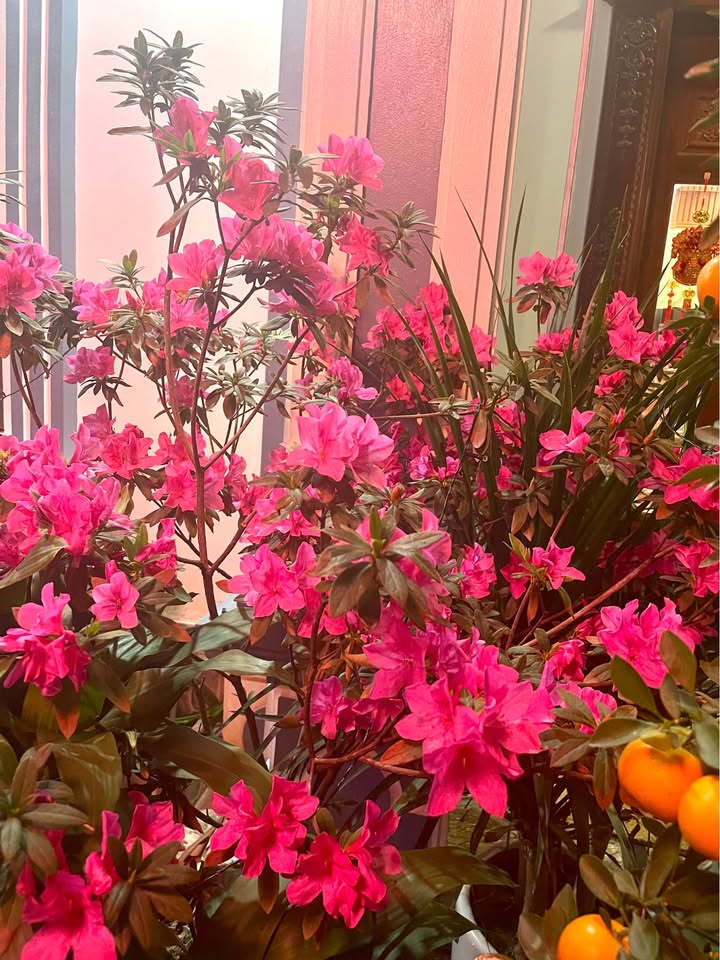 Đất Nền Yên Trung, Thạch Thất 95m² - Sổ Đỏ Chính Chủ