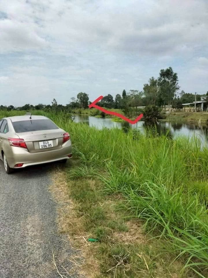 Bán Đất Vườn 7200m² An Trường, Càng Long, Trà Vinh - Giá Đầu Tư 15.12 Tỷ