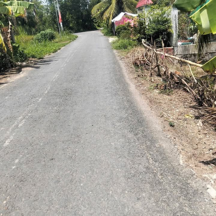 Bán Gấp Đất Vĩnh Long 1553m² CLN - Mặt Tiền Lộ Nhựa, Gần KCN Hòa Phú