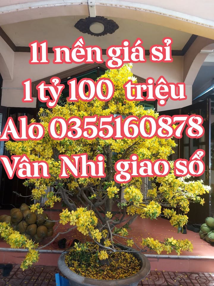 Đất nền Giang Điền Trảng Bom 125m² 1.2 tỷ - Đường to ô tô