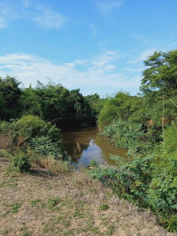 Bán Đất Vườn View Sông Kim Bình, Hàm Thuận Bắc - 3000m² Giá 2.4 Tỷ