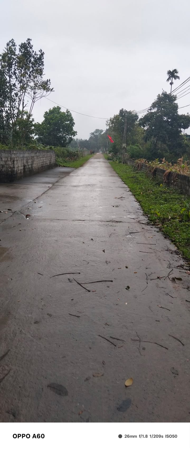 Đất nền Nông Cống 520m² - Sổ đỏ chính chủ, xây dựng tự do