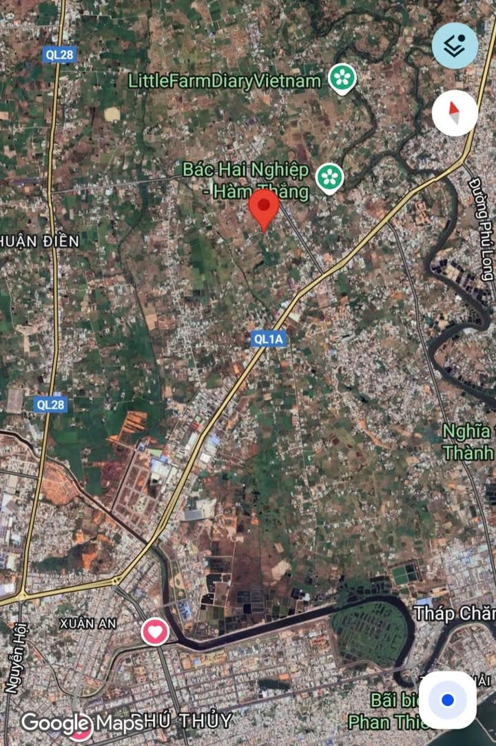 Đất Nền Mặt Tiền Đường Bê Tông 1000m² - Phường Hàm Thắng, Phan Thiết - Giá 1.7 Tỷ