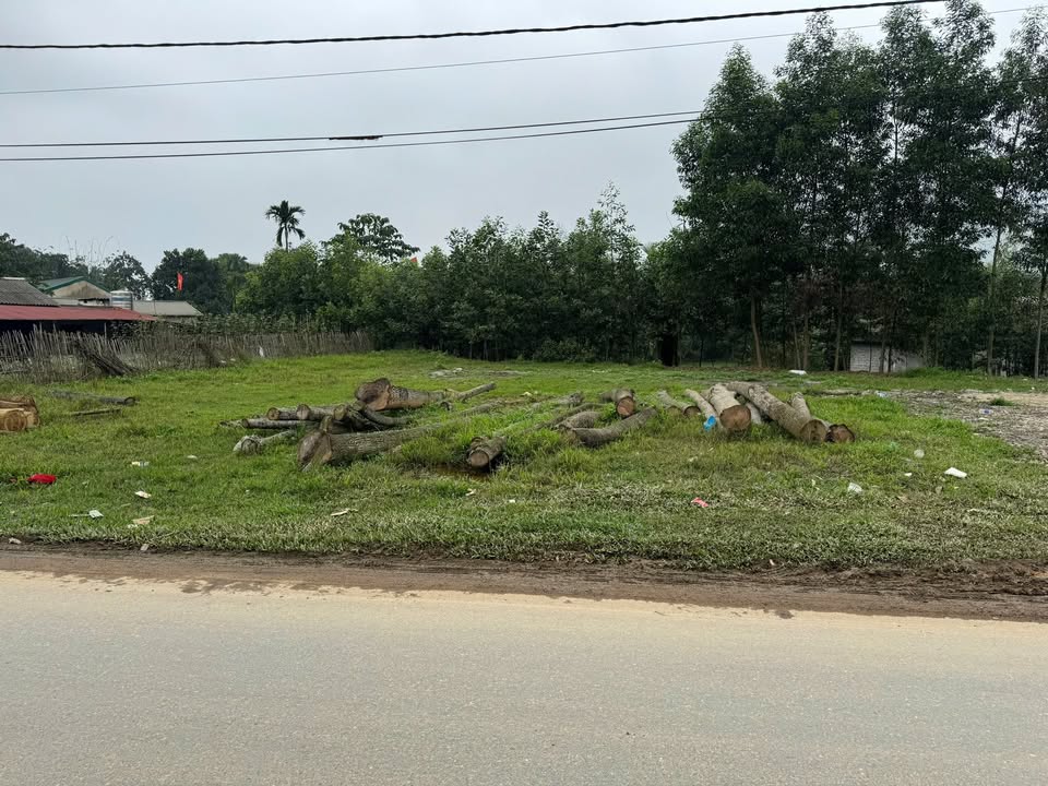 Bán đất mặt tiền QL70B Yên Lập 162m² giá 700 triệu - Tiềm năng tăng giá!