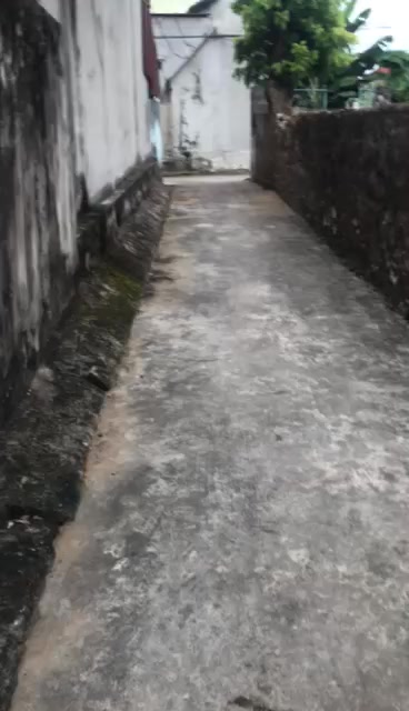 Nhà cấp 4 Nga Thiện, Nga Sơn 354m² – Chính chủ bán, giá tốt!