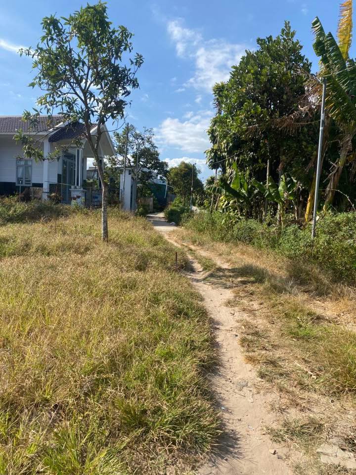 Đất nền Thị trấn Liên Nghĩa, Đức Trọng 100m² - Hạ tầng hoàn thiện!