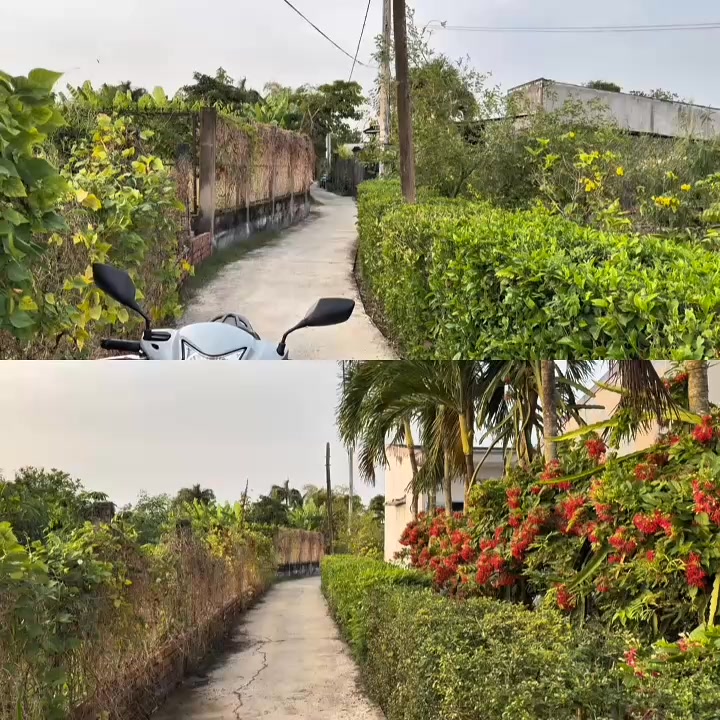 Đất nền Long Hòa, Gò Công 148.6m² - Sổ hồng thổ cư, giá chỉ từ 375 triệu