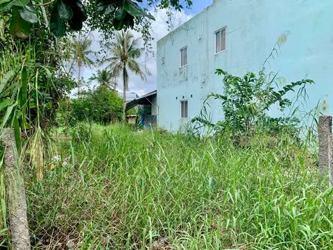 Đất nền Cà Mau 430m² nở hậu - Sổ đỏ chính chủ, tiềm năng sinh lời!