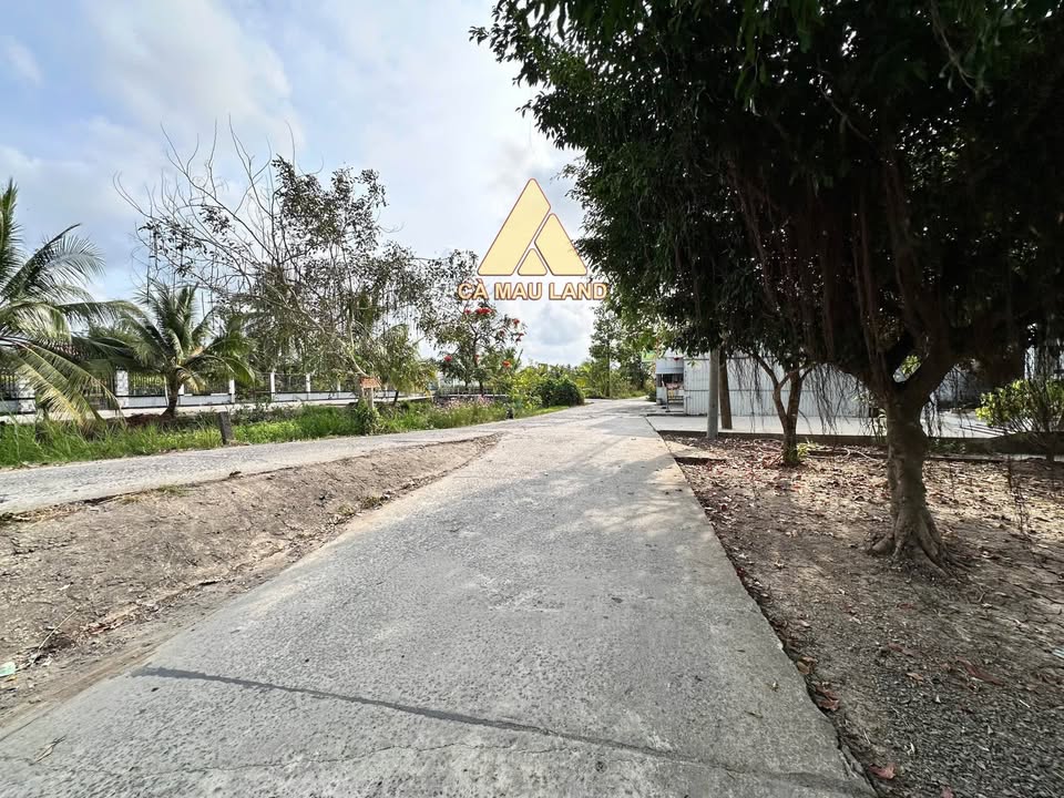 Bán Nhà Vườn Lý Văn Lâm Cà Mau 247m² Giá 1.25 Tỷ - Sổ Hồng Riêng