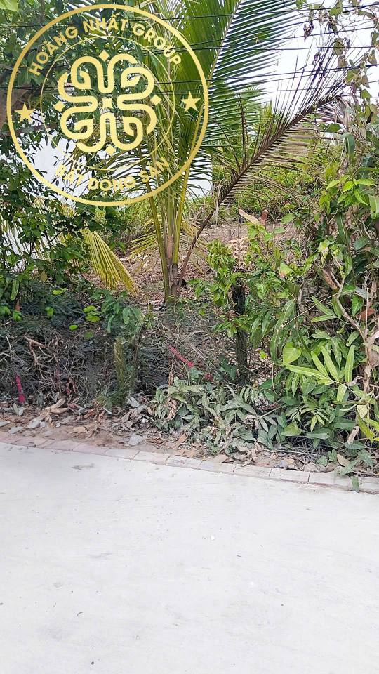 Bán đất vườn Tân Xuyên Cà Mau 302m² giá 900 triệu - Nghỉ dưỡng lý tưởng!