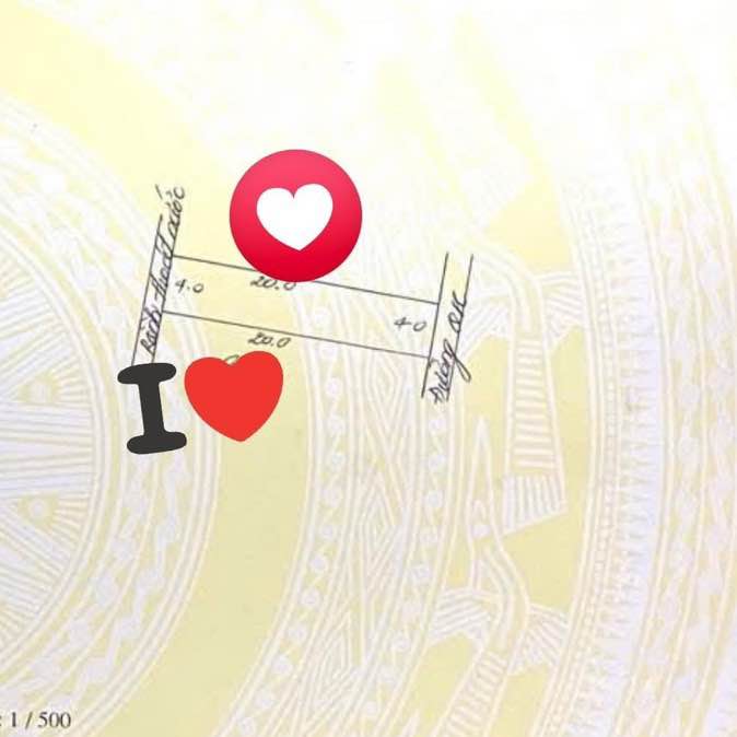 Đất nền An Lão 80m² chỉ 2 tỷ - Bán gấp, sổ đỏ chính chủ!