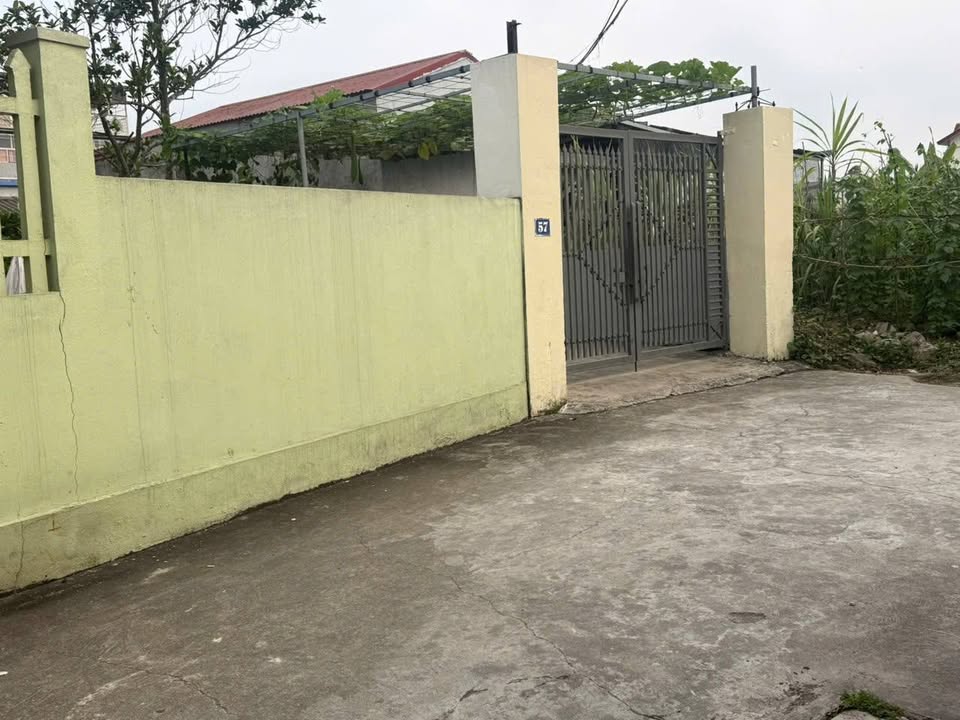 Bán Đất 74.2m² H. An Lão, Hải Phòng - Ngõ Ô Tô, Giá 1 Tỷ