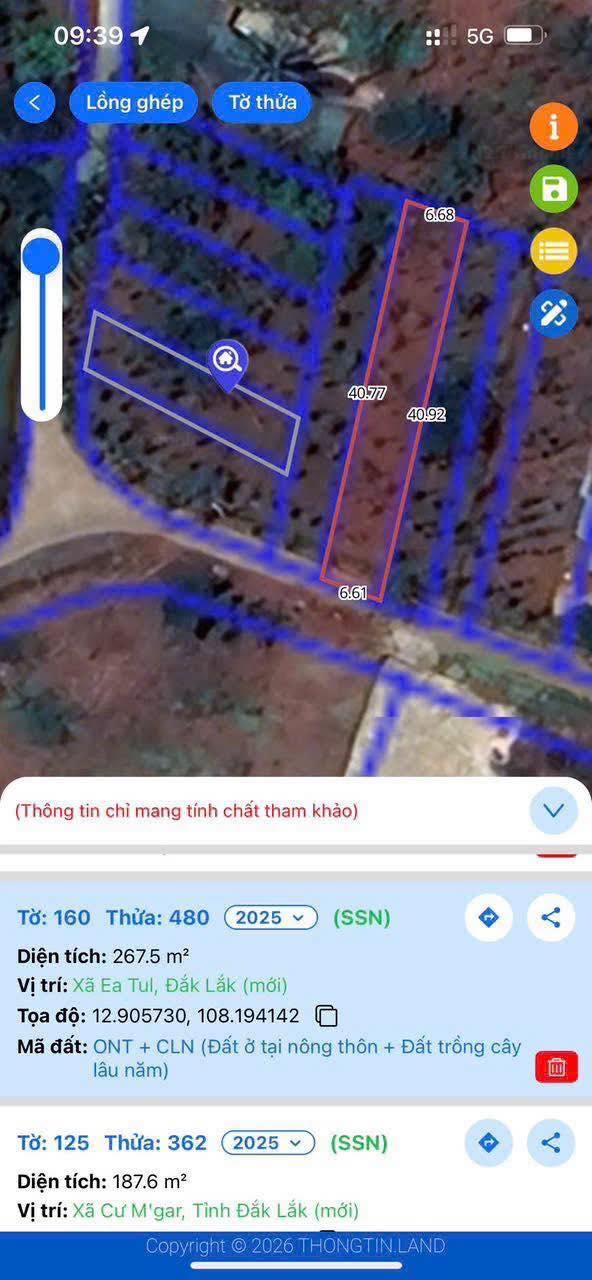 Đất nền Cư Dliê M'nông 264m² 450 triệu - Tiềm năng tăng giá!
