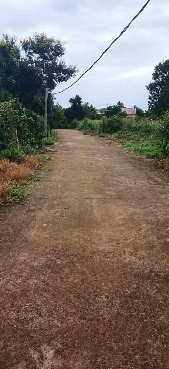 Đất Nền Đắk Mil 504m² Giá 1.45 Tỷ - Sổ Đỏ Chính Chủ!