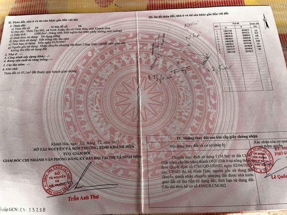 Đất nền Thôn Tân Mỹ, Ninh Xuân 1200m² - Tiềm năng tăng giá vượt trội!